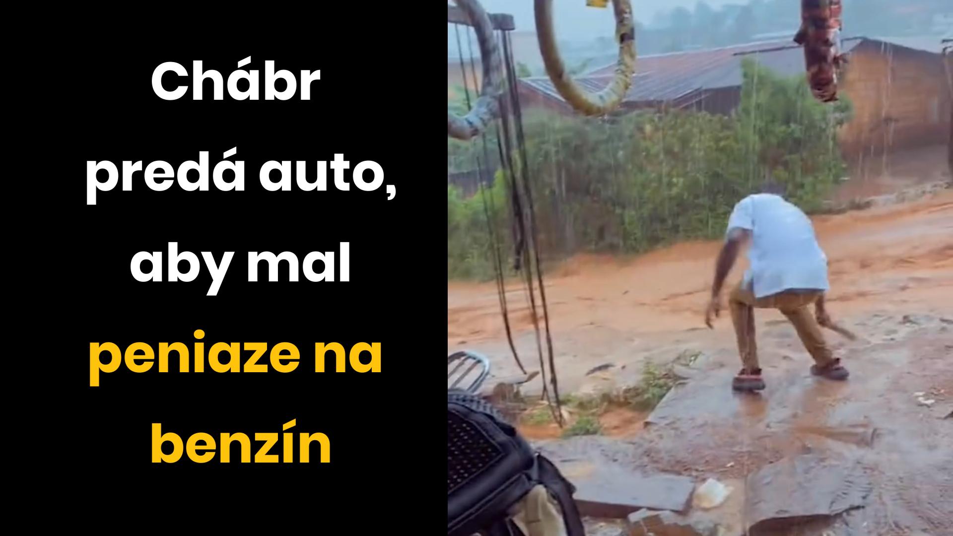 IQ Einsteina
