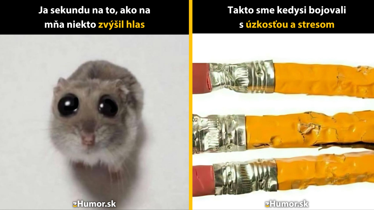 Zopár memečiek, ktoré vznikli, aby ti spríjemnili deň #1541: Ale tak toto som si naozaj nezaslúžil.