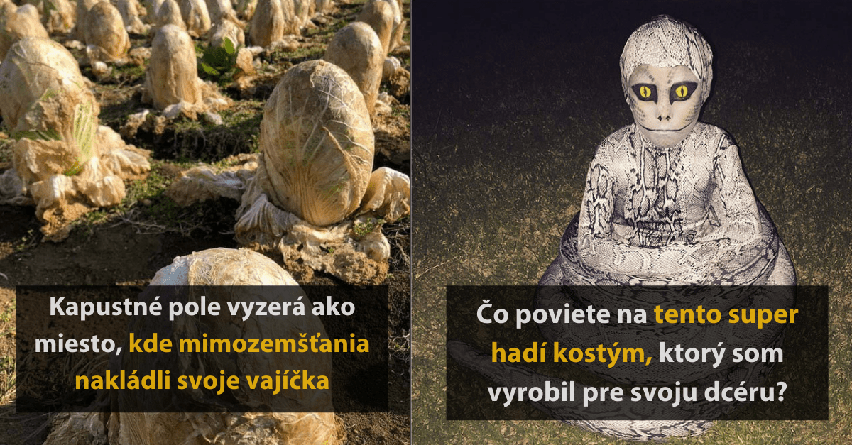 25 desivých fotografií, z ktorých vám prebehne mráz po tele