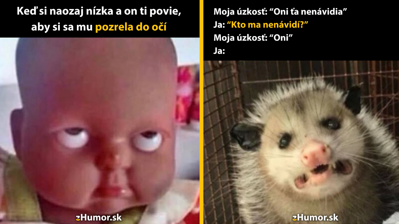 Zopár memečiek, ktoré vznikli, aby ti spríjemnili deň #1535: O čo ti ide?!