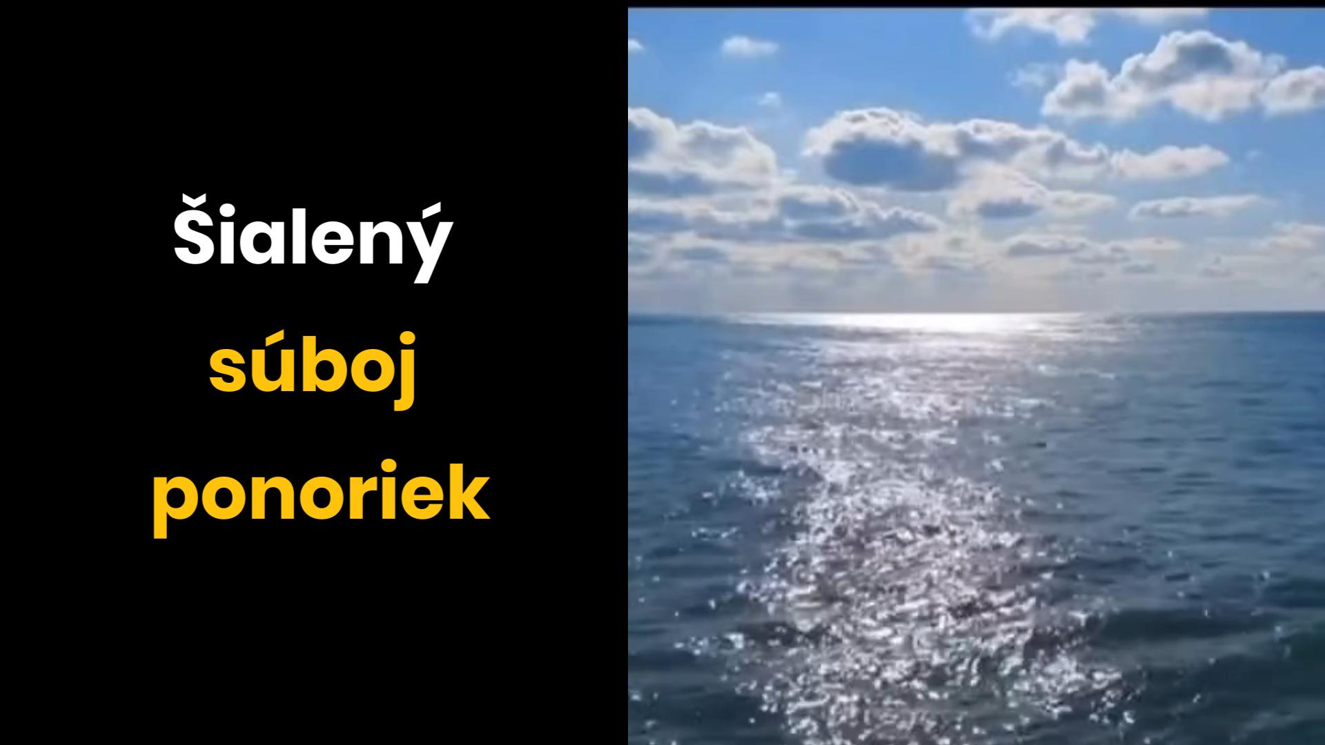 Šialená bitka