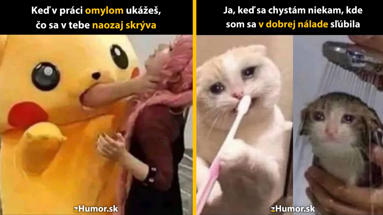 Zopár memečiek, ktoré vznikli, aby ti spríjemnili deň #1540: Toto tak úplne nebolo v pláne.