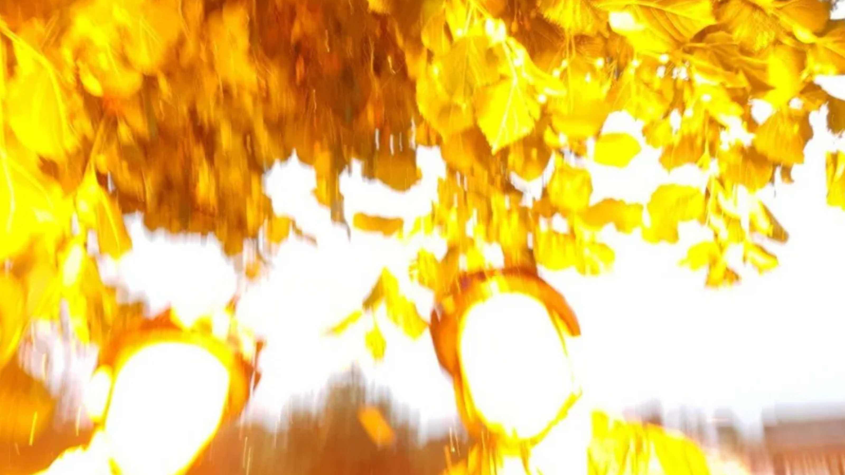 Selfie takmer z pekla: Súrodenci sa odfotili, no blesk pridala príroda!