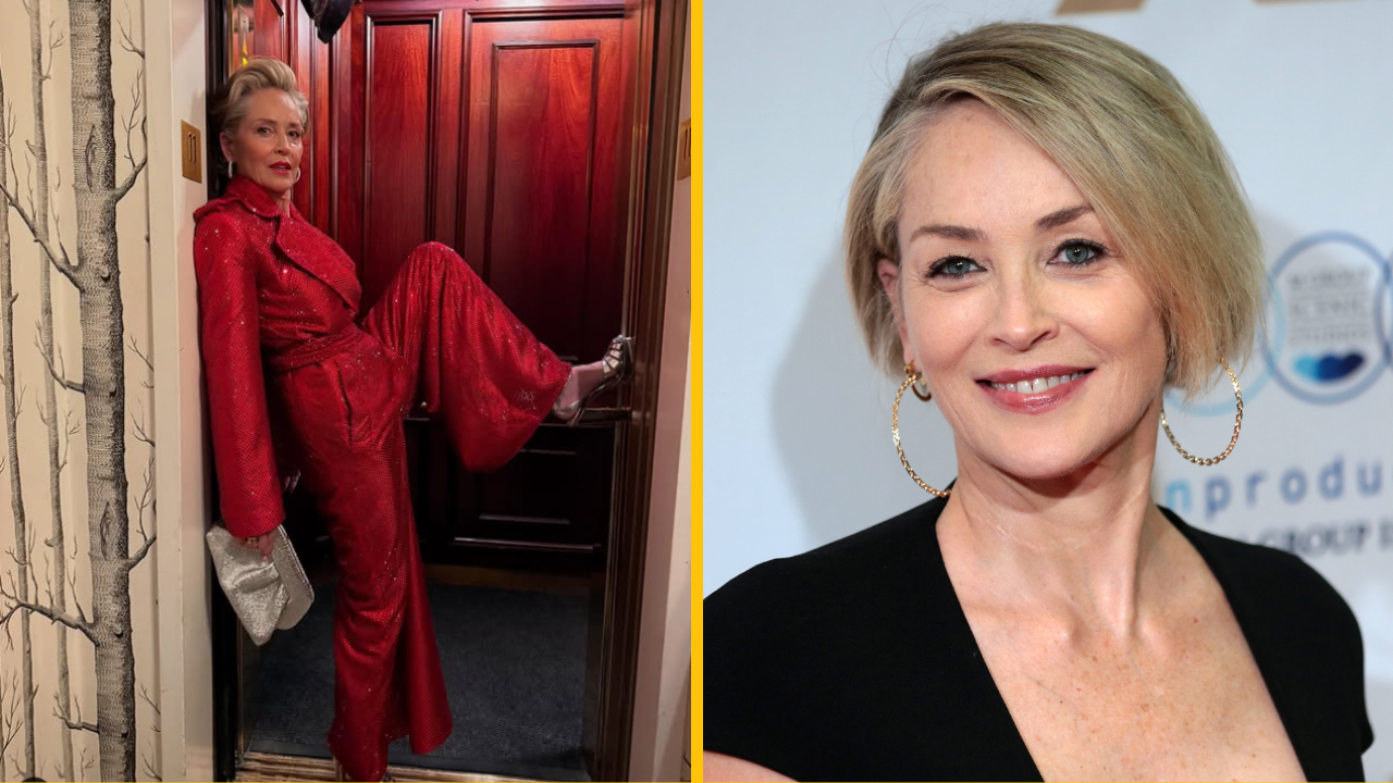 Hviezdu „Základného inštinktu“, Sharon Stone, vyradili z nového filmu „Another Simple Favor“