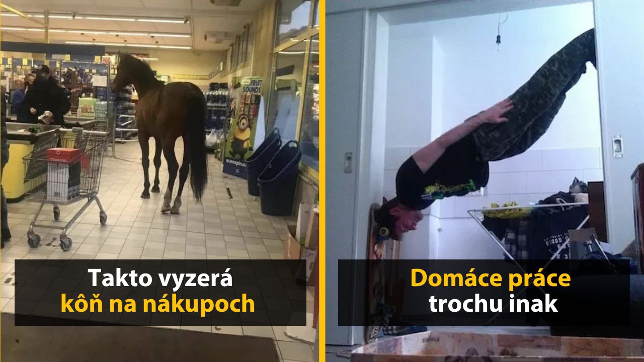 30+ Obrázkov, ktorými dokonale zabiješ čas #535 – Kôň na nákupoch alebo kolmo postavený dom
