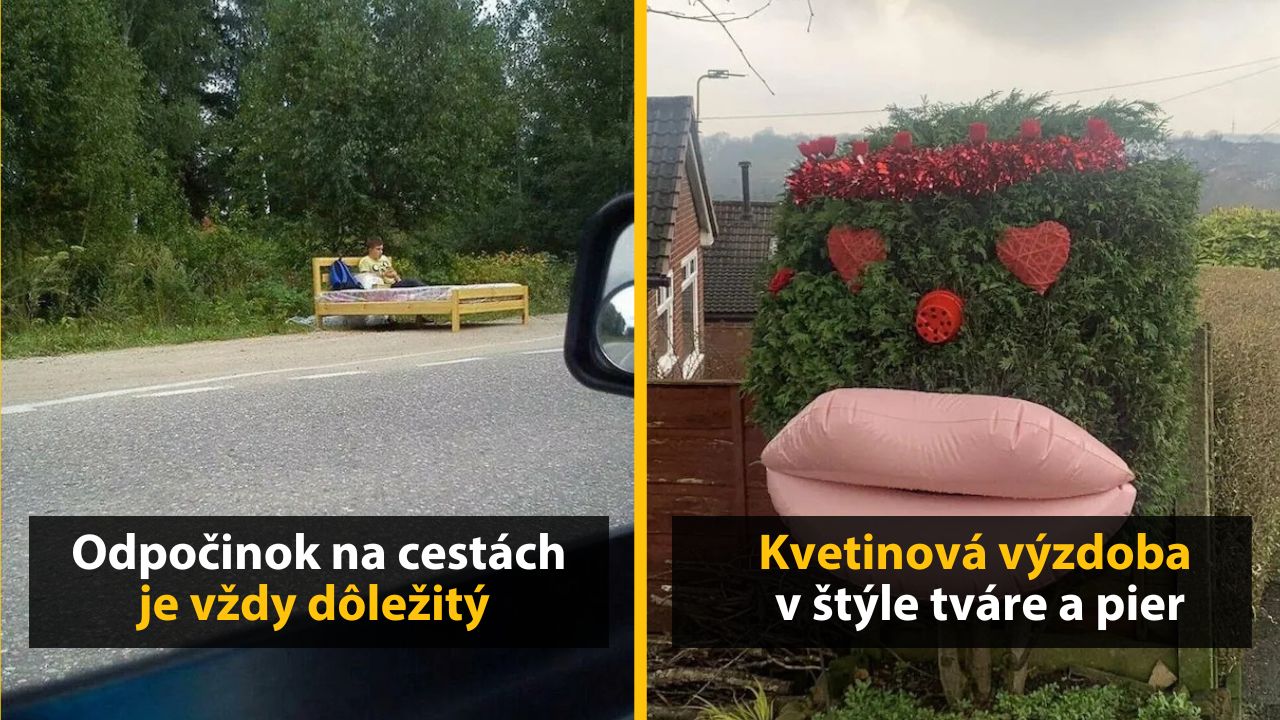 30+ Obrázkov, ktorými dokonale zabiješ čas #536 – Unikátna kvetinová výzdoba alebo skatepark v tvare panvice s jedlom