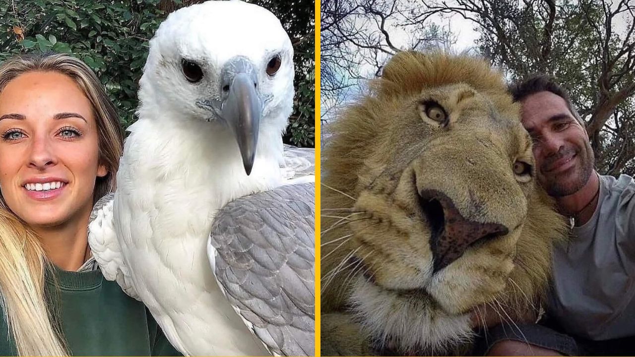 10 naozaj odvážnych ľudí, ktorí si spravili skvelú selfie so zvieratami v divokej prírode