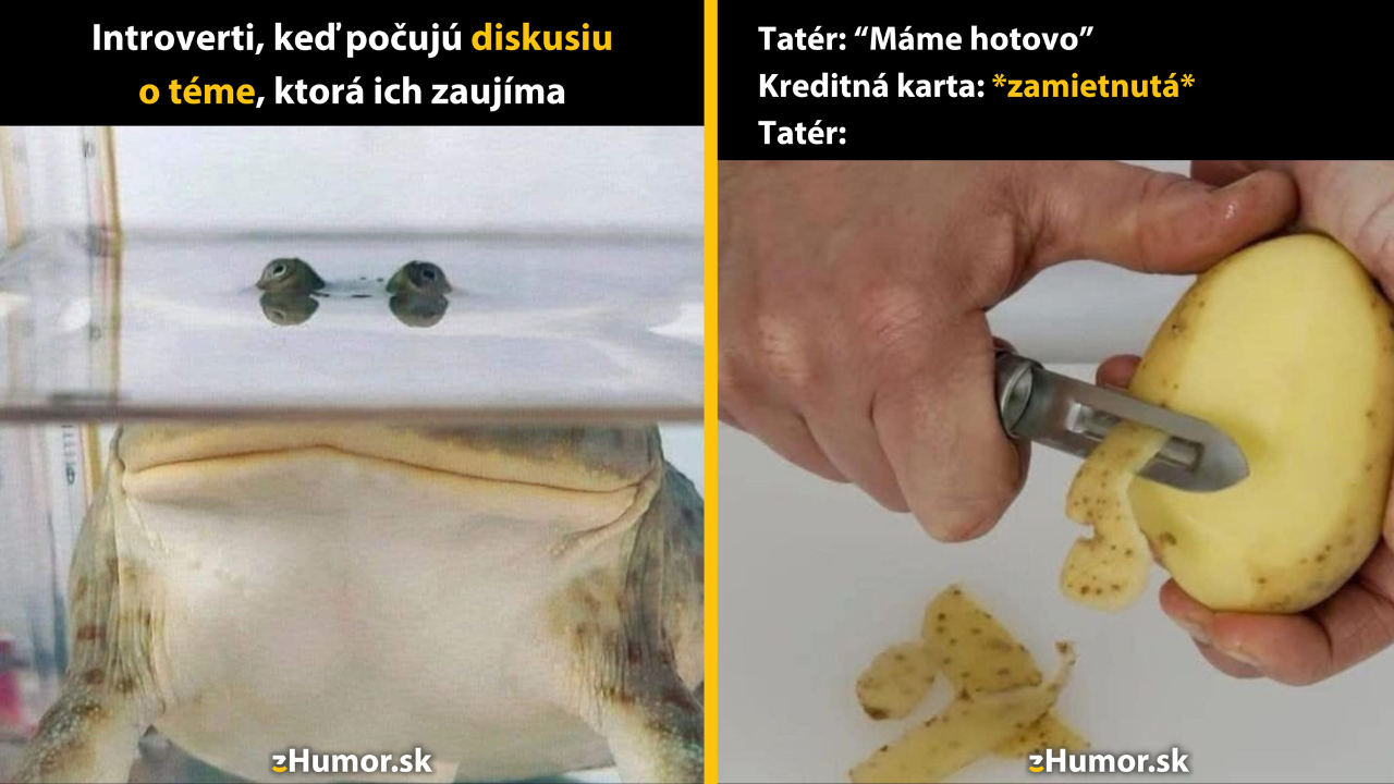 Zopár memečiek, ktoré vznikli, aby ti spríjemnili deň #1550: Haló, aj ja som tu.