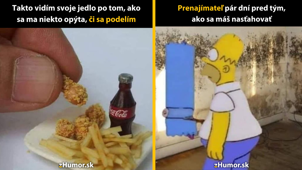 Zopár memečiek, ktoré vznikli, aby ti spríjemnili deň #1542: Obávam sa, že to nebude možné.