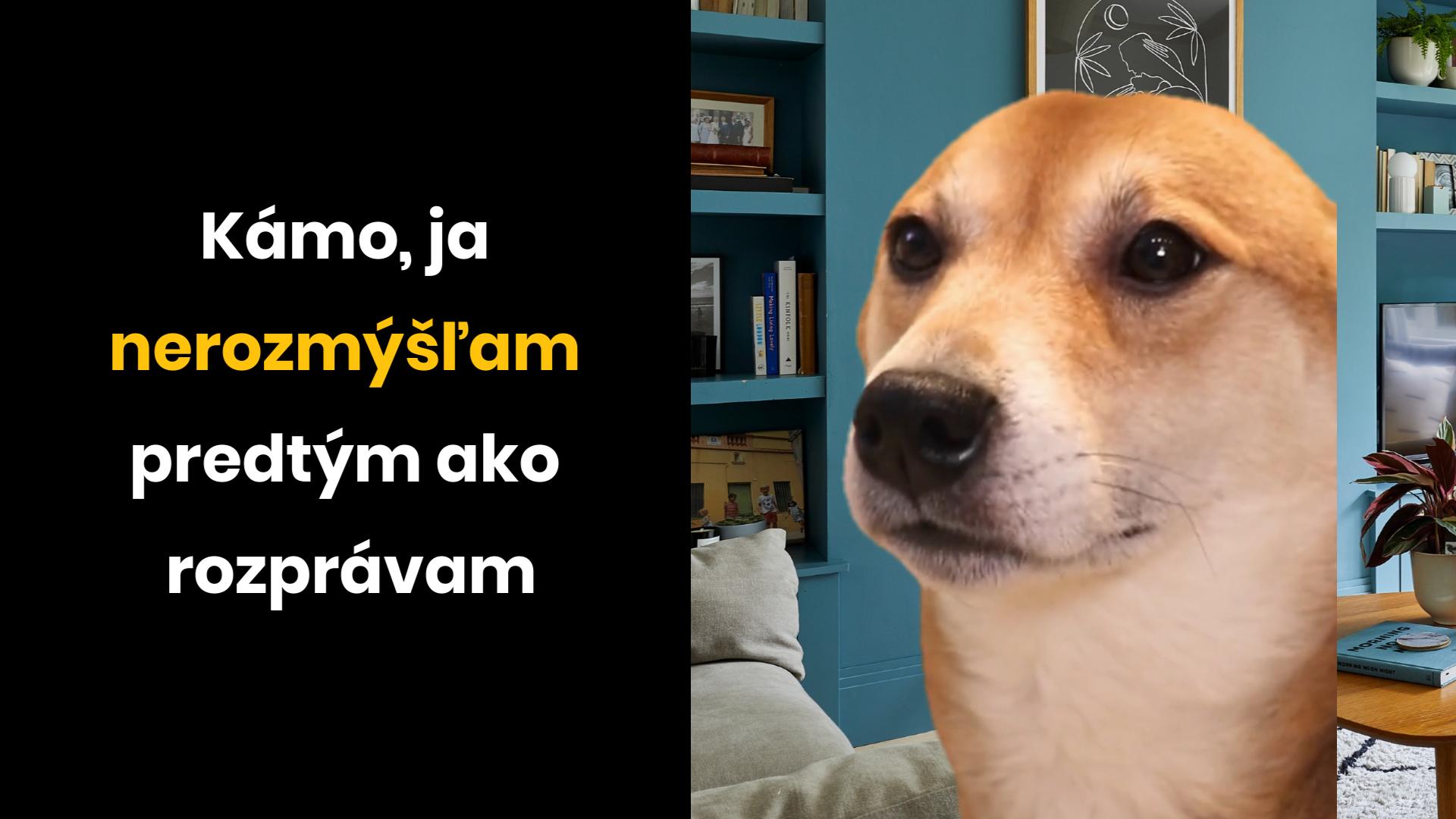 Začnem vetu a dúfam, že sa skončí dobre