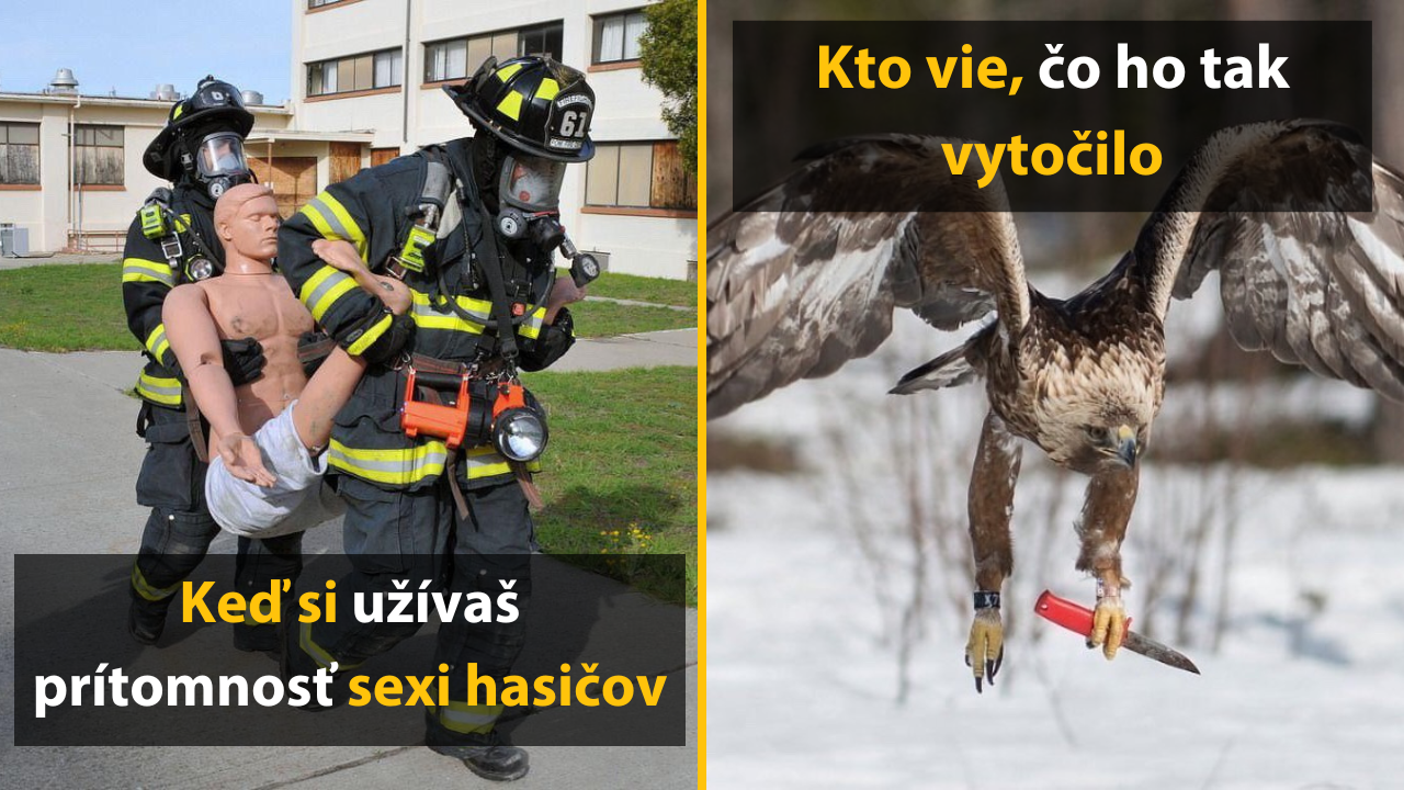 10 bizarných obrázkov vylovených z temných hĺbok internetu