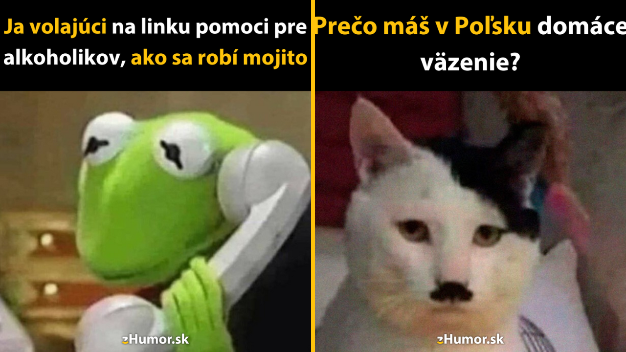 10 meme obrázkov, ktoré musíte vidieť – aj na úkor vašej práce
