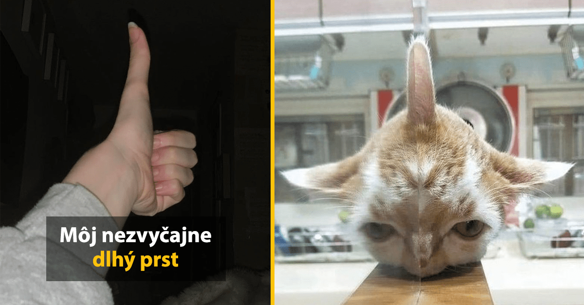 10 fotografií, ktorým je extrémne ťažké uveriť, že sú skutočné