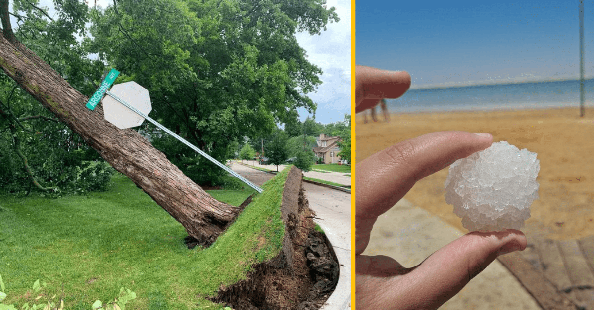 14 fotografií, ktoré dokazujú, že neexistuje nič silnejšie ako príroda