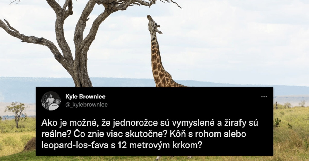 10 ľudí, ktorí majú jednoznačne zmysel pre humor