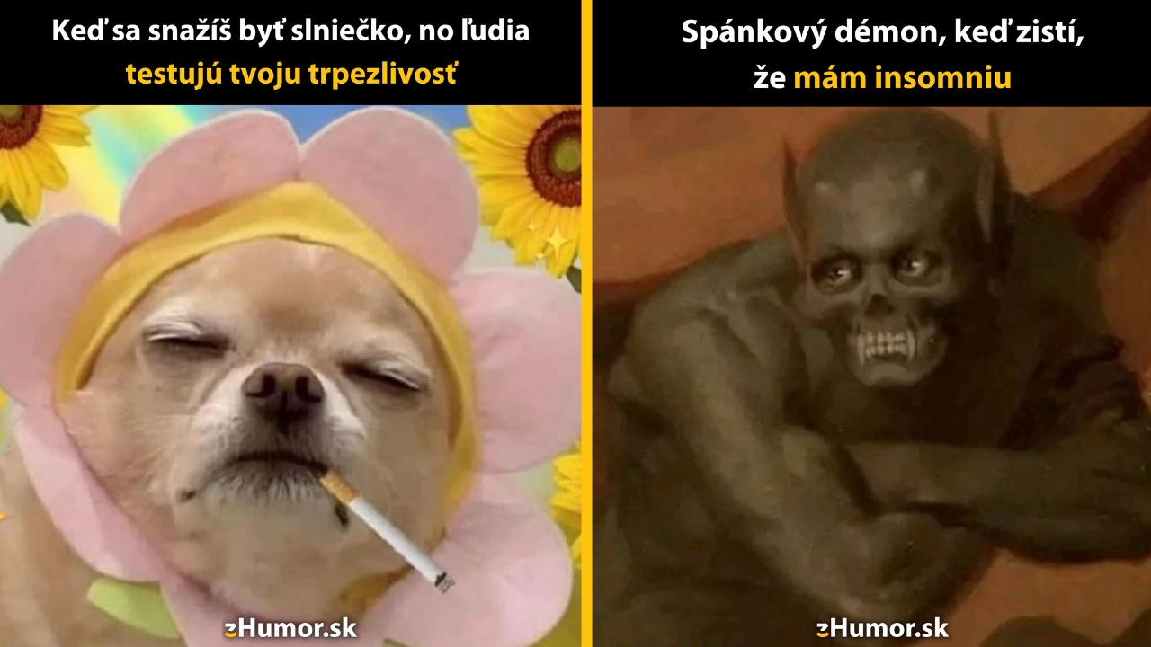 Zopár memečiek, ktoré vznikli, aby ti spríjemnili deň #1547: Robím, čo môžem, viac sa nedá.
