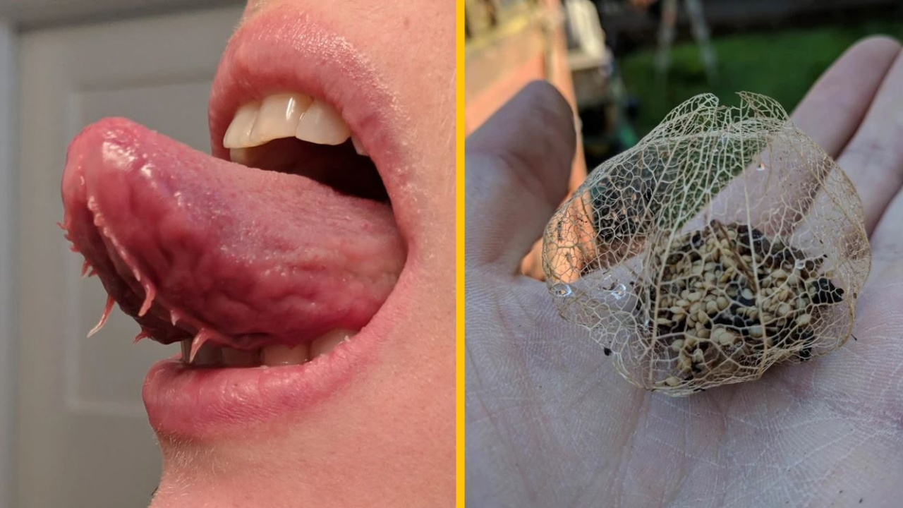 Fotografie a momenty, na ktorých nás príroda prekvapila svojou jedinečnosťou