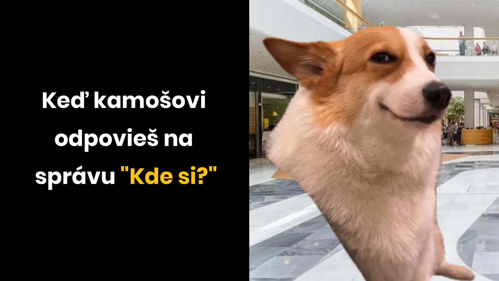 „Tu som“