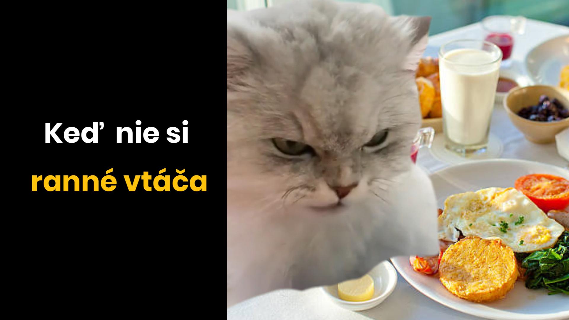 Neozývajte sa ku mne