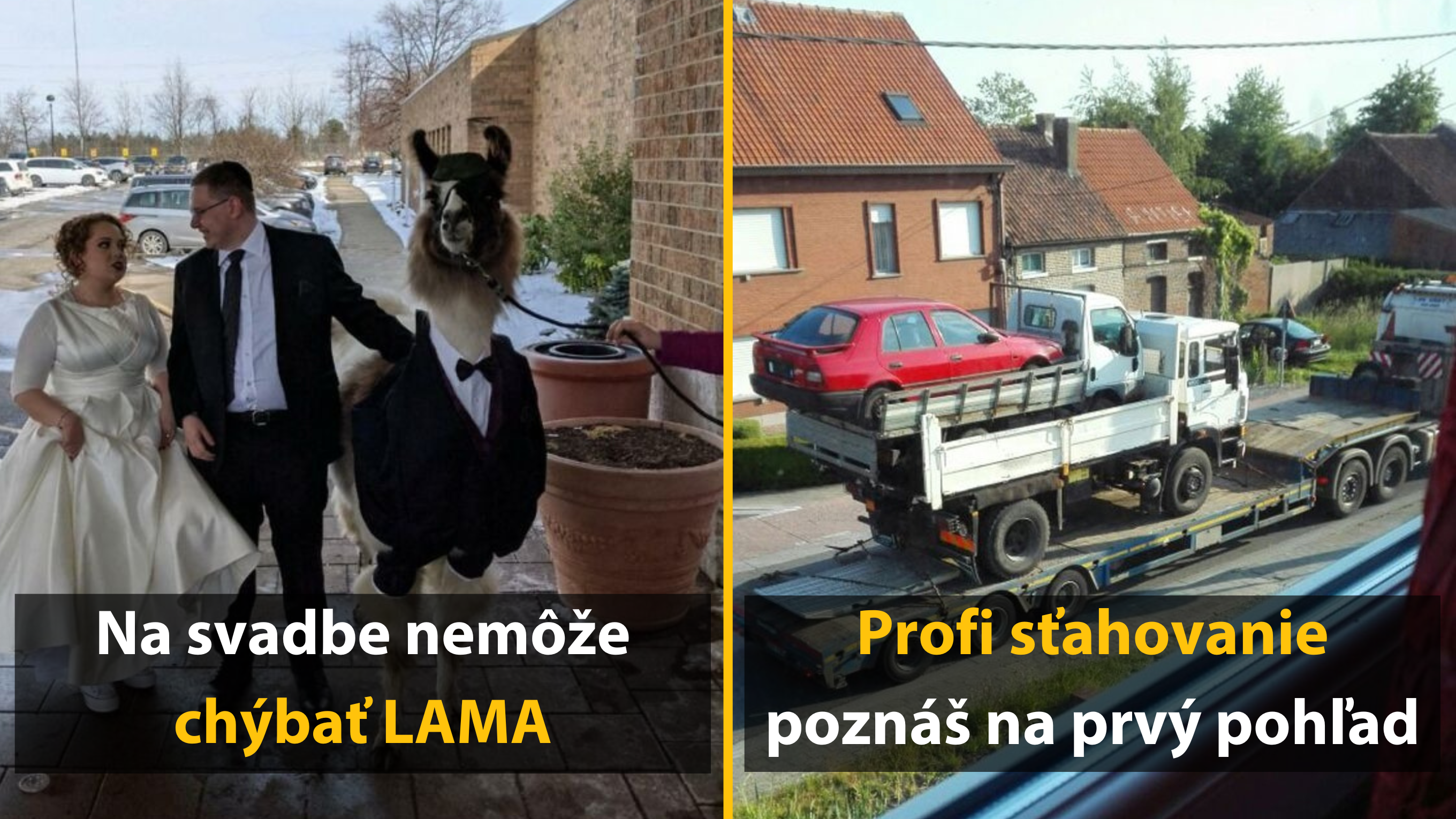 20 fotiek, ktoré znejú ako výmysel, ale sú 100 % reálne