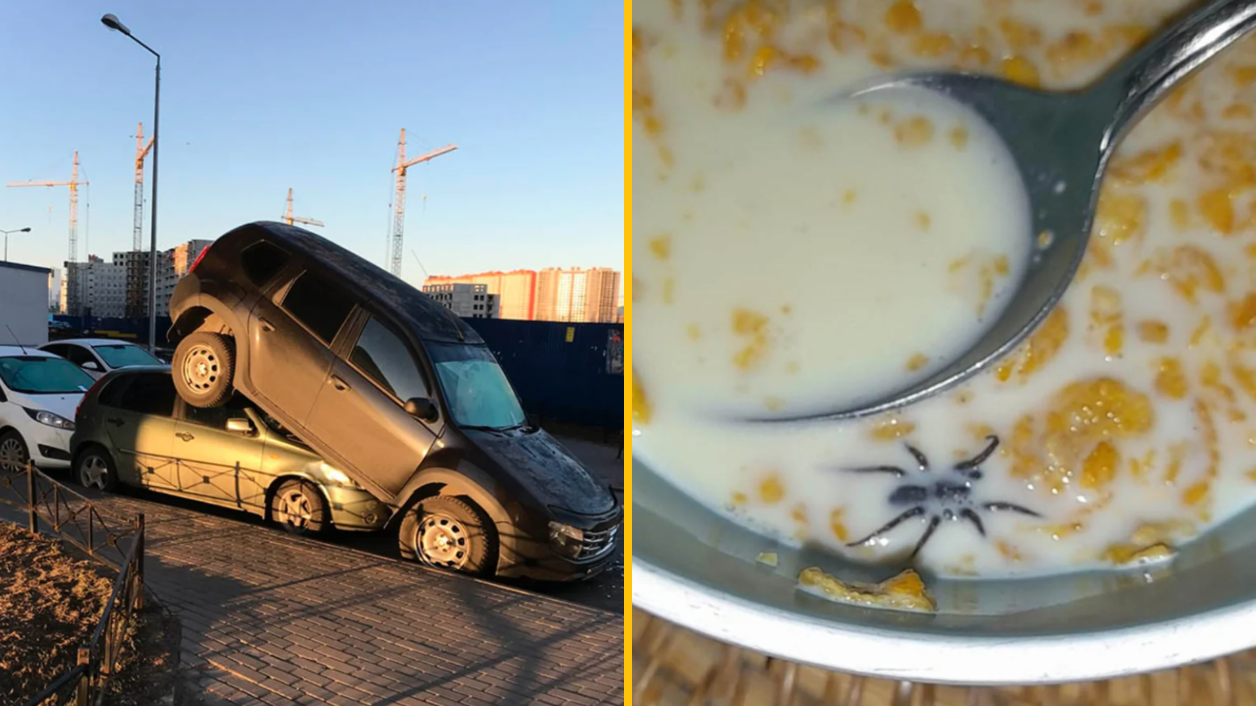 To ráno, keď by bolo lepšie nevstať: 11 epických momentov hneď po prebudení