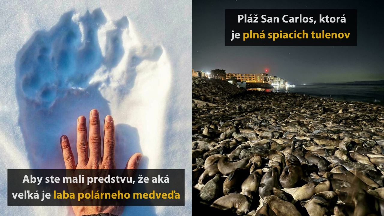 Svet ako ho nepoznáte : 10 unikátnych fotografií, ktoré vám rozšíria obzory #4
