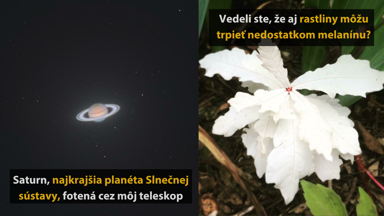 Svet ako ho nepoznáte : 10 unikátnych fotografií, ktoré vám rozšíria obzory #1