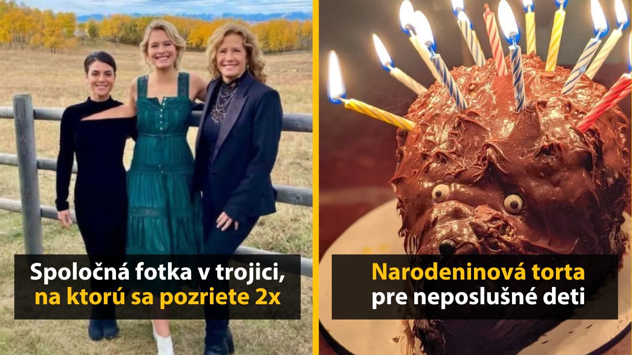 30+ Obrázkov, ktorými dokonale zabiješ čas #548 – Knižnica v strome alebo pánske okuliare z fúzov