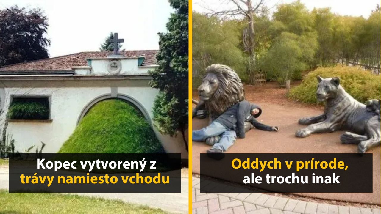 30+ Obrázkov, ktorými dokonale zabiješ čas #554 – Interiér pre profíkov, krab s nožom alebo knihy do oblúka
