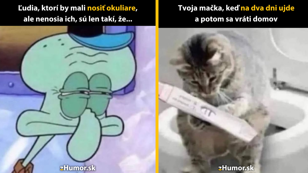 Zopár memečiek, ktoré vznikli, aby ti spríjemnili deň #1555: Prisahám, že nie som taký zákerný, ako vyzerám.