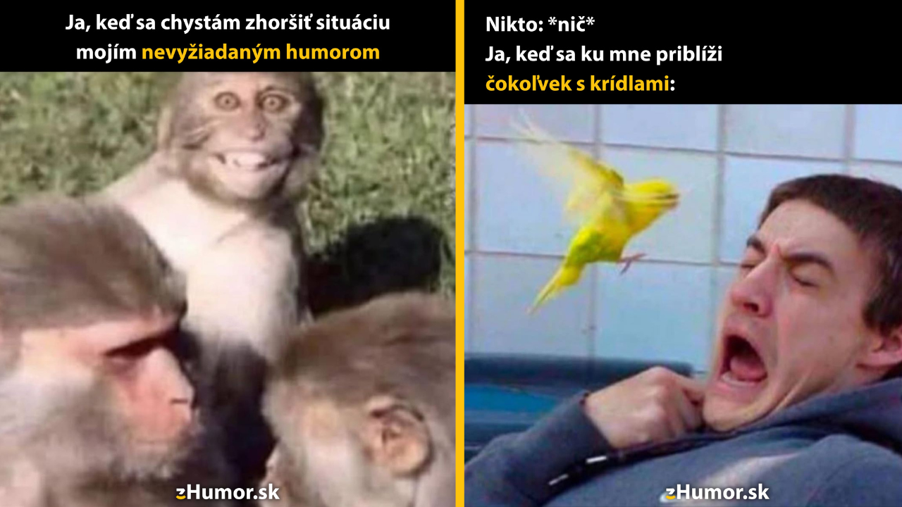 Zopár memečiek, ktoré vznikli, aby ti spríjemnili deň #1559: Viem, že ste sa nepýtali, ale…
