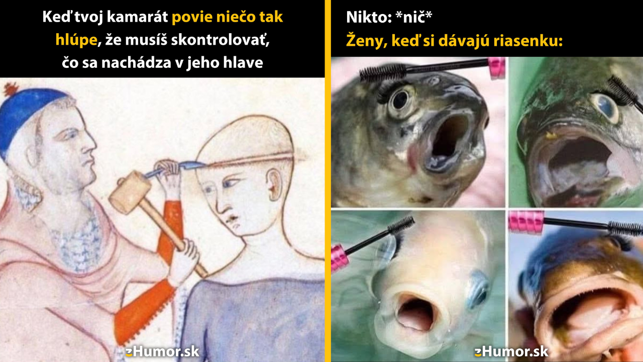 Zopár memečiek, ktoré vznikli, aby ti spríjemnili deň #1554: Tak toto si snáď nemyslel vážne.