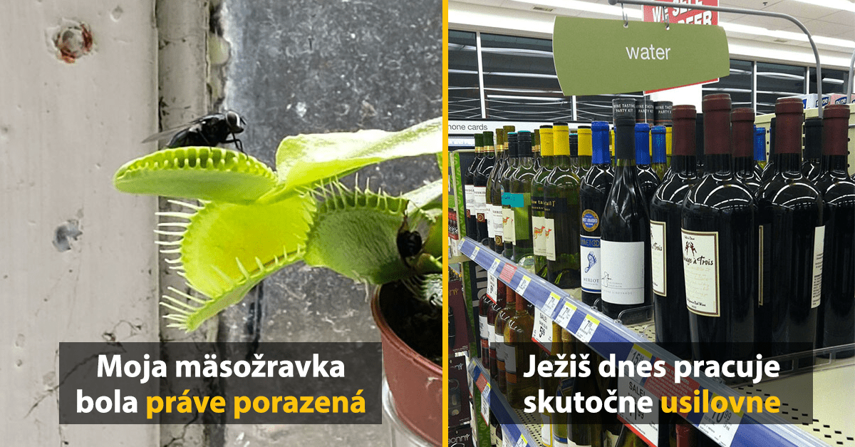 15 expertov, ktorí zbabrú aj to najjednoduchšie zadanie