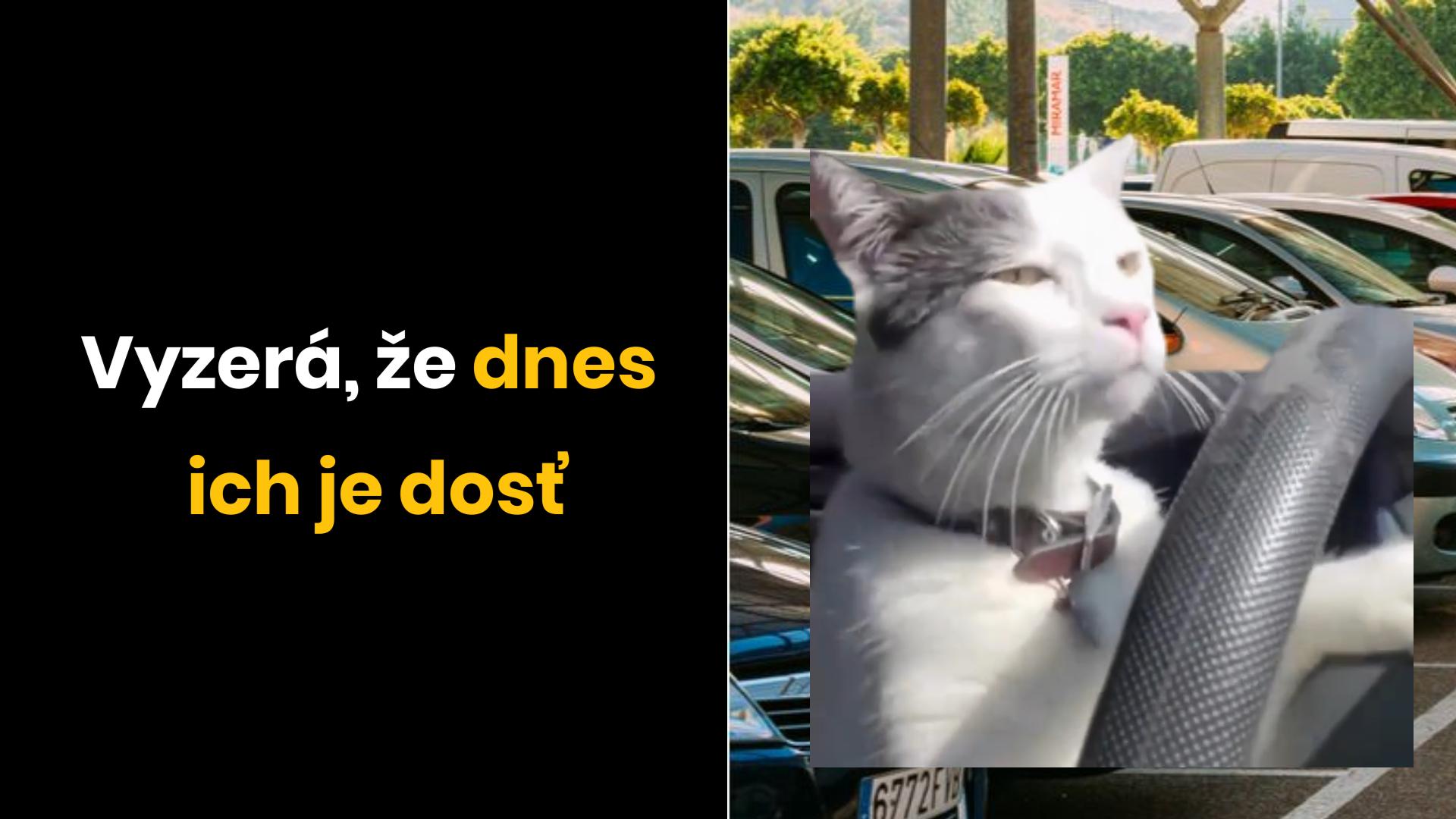 V práci nie je voľné parkovisko