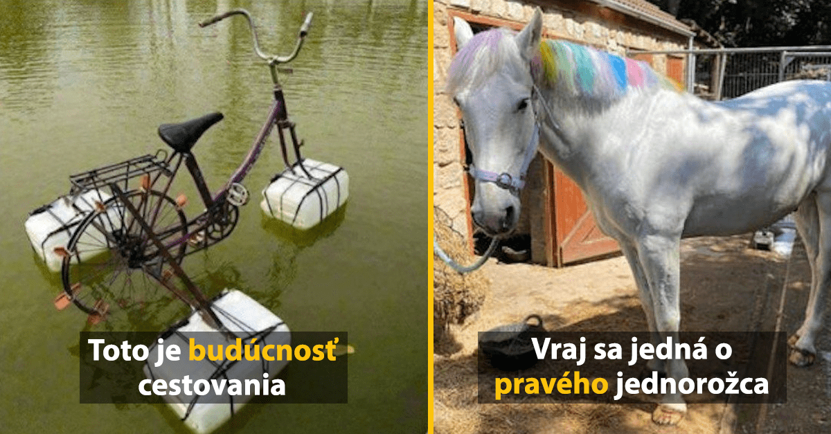 15 bizarných inzerátov na internete, kde sa ľudia snažia predať takmer čokoľvek