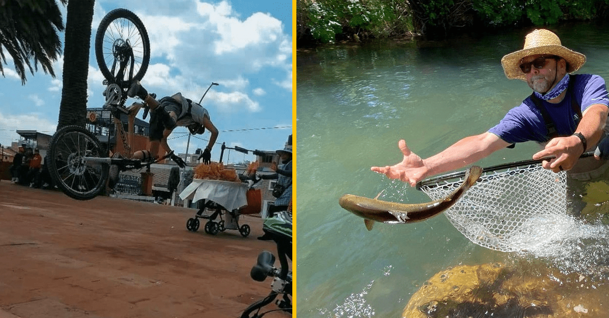 14 geniálne vtipných fotografií, ktoré vznikli vďaka dokonalému načasovaniu
