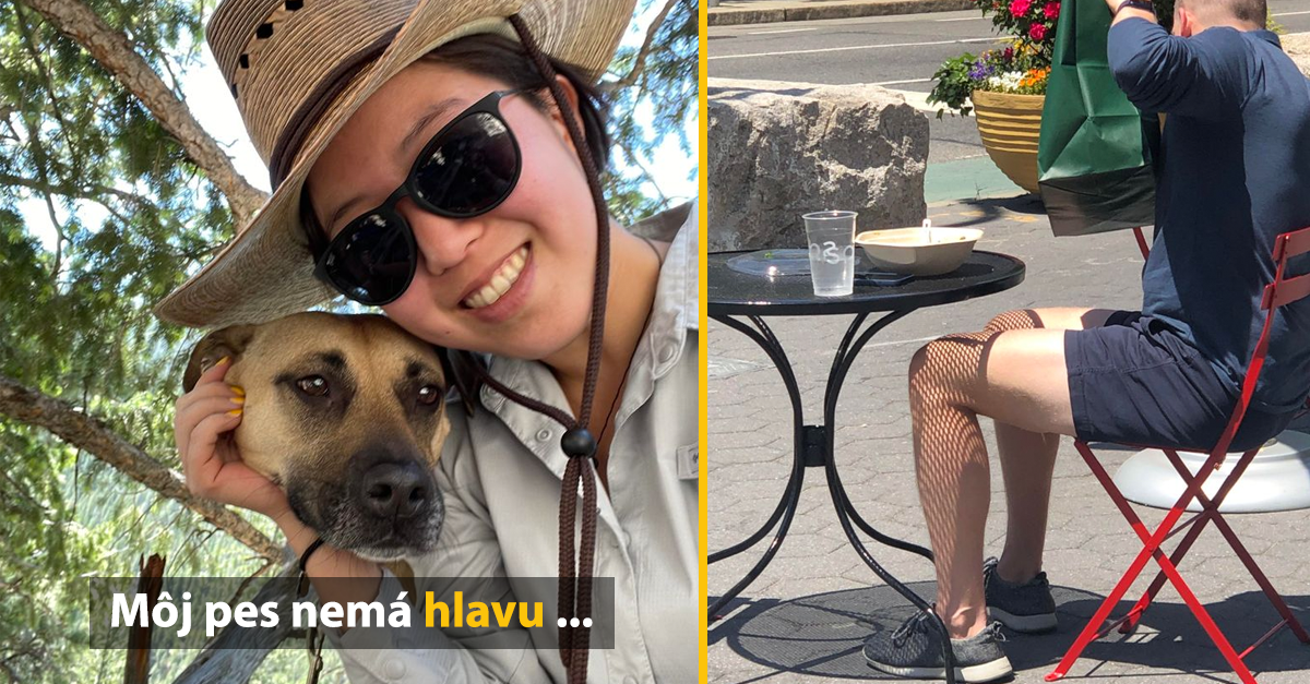 15 fotografií, ktoré dokazujú, že uhol pohľadu dokáže narobiť pekné zázraky