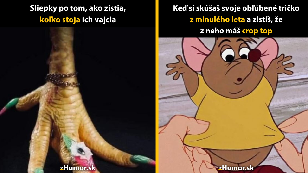 Zopár memečiek, ktoré vznikli, aby ti spríjemnili deň #1558: Ako si dovoluješ mi tykať?