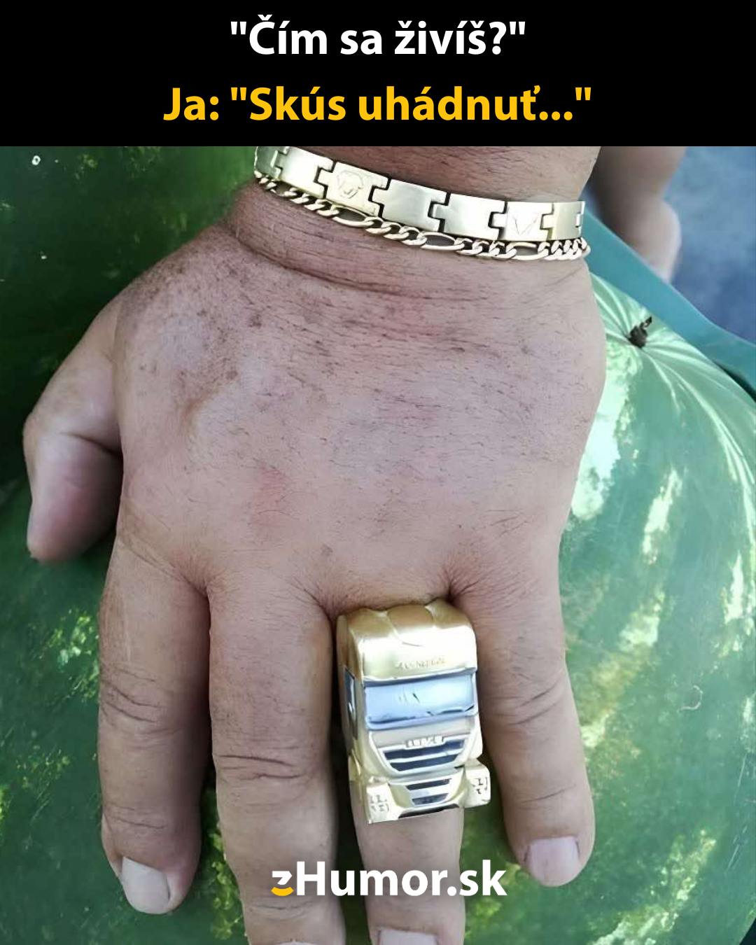 Povolanie kamionista