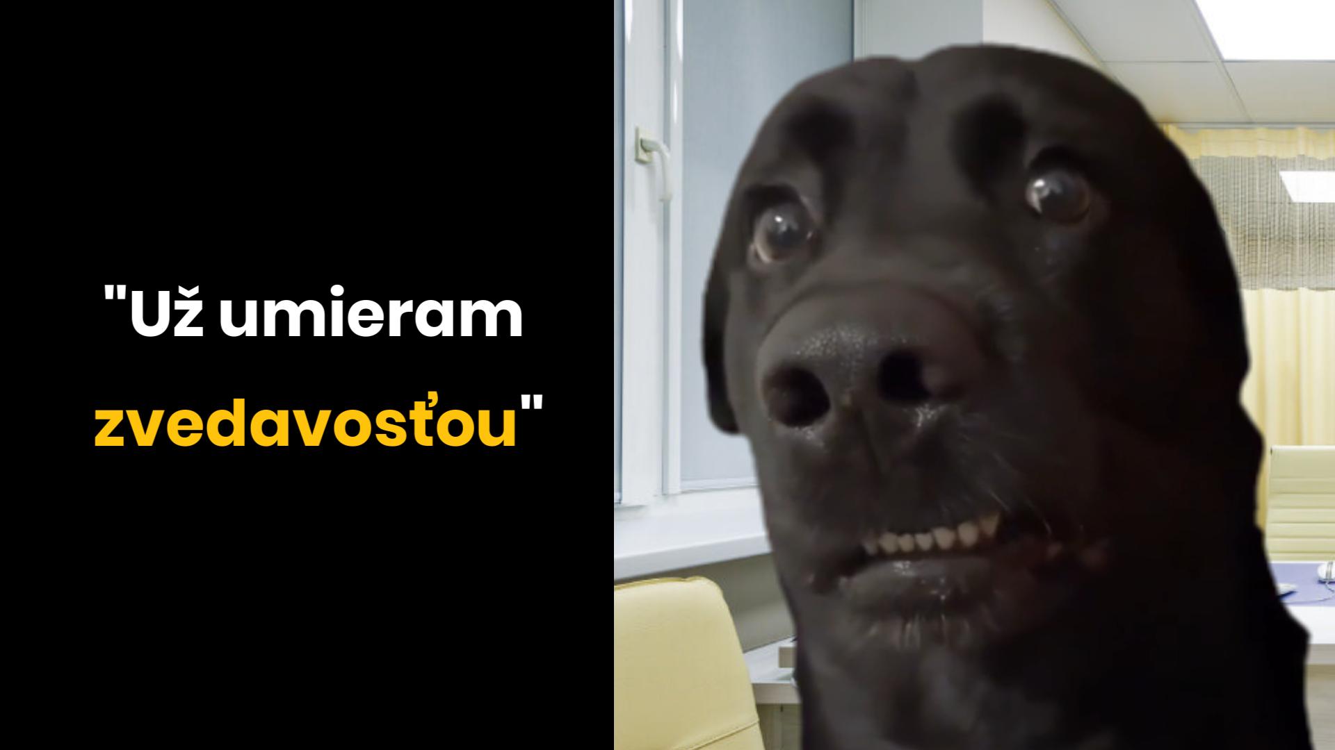 Sranda alebo nie?