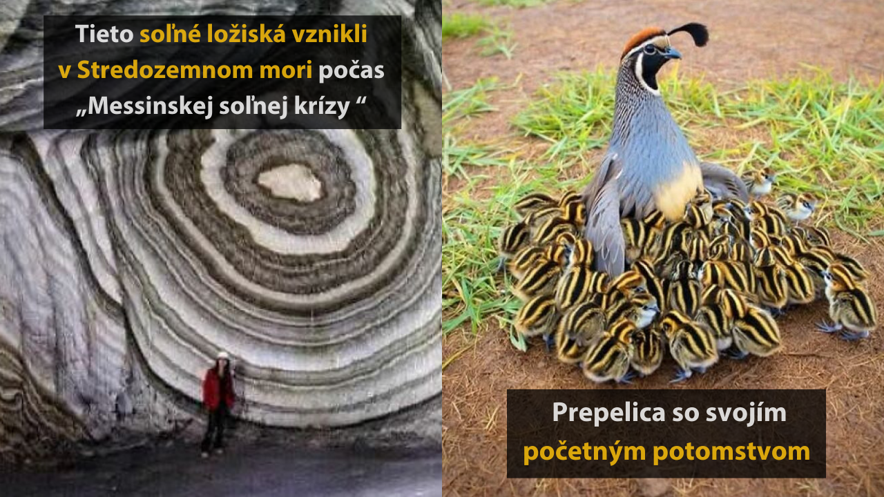 Úchvatné zábery z prírody, ktoré sa jednoducho oplatí vidieť #2