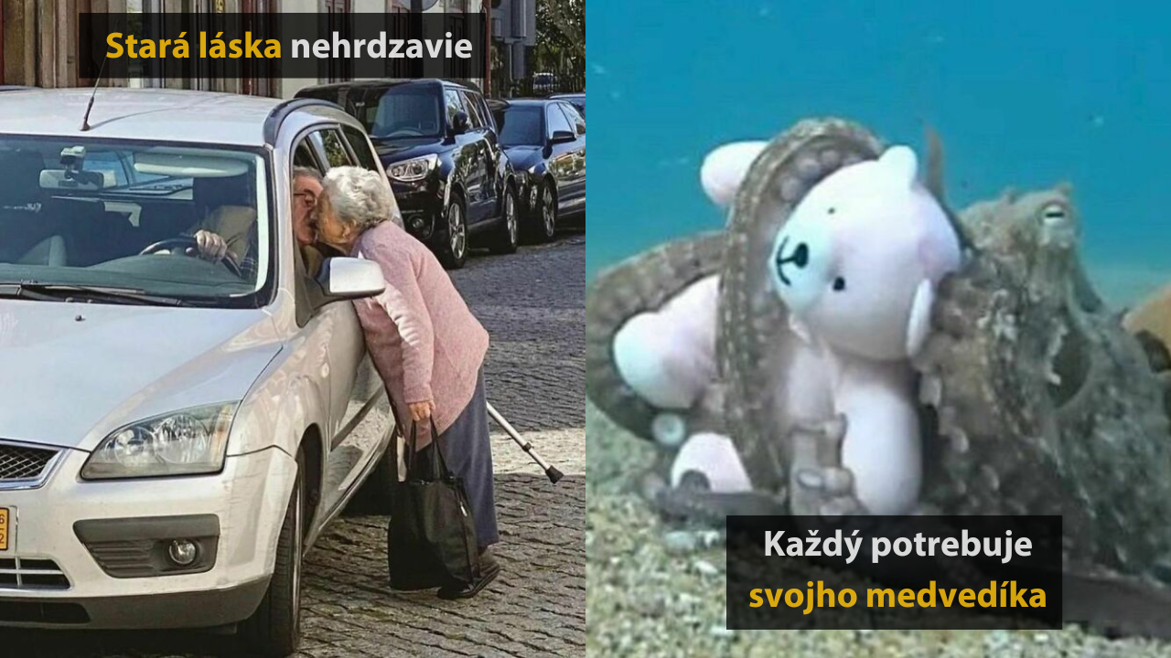 10 divných, no zároveň roztomilých fotografií, na ktoré sa nedá prestať pozerať #1