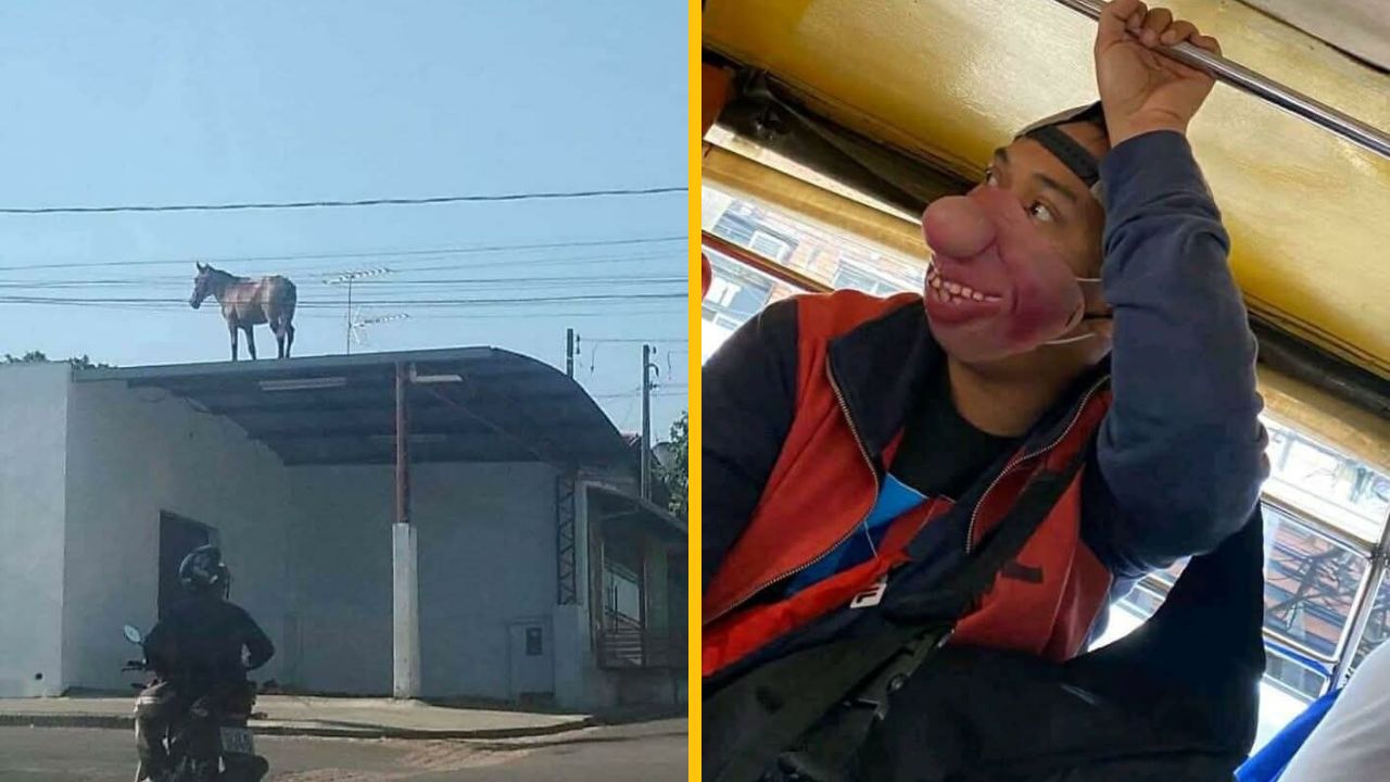 15 náhodných fotografií z ulice, ktoré vás pobavia #11