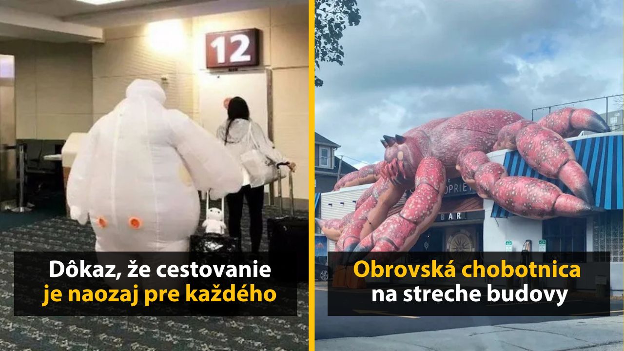 30+ Obrázkov, ktorými dokonale zabiješ čas #570 – Ihla v kope sena alebo lavička z kabeliek