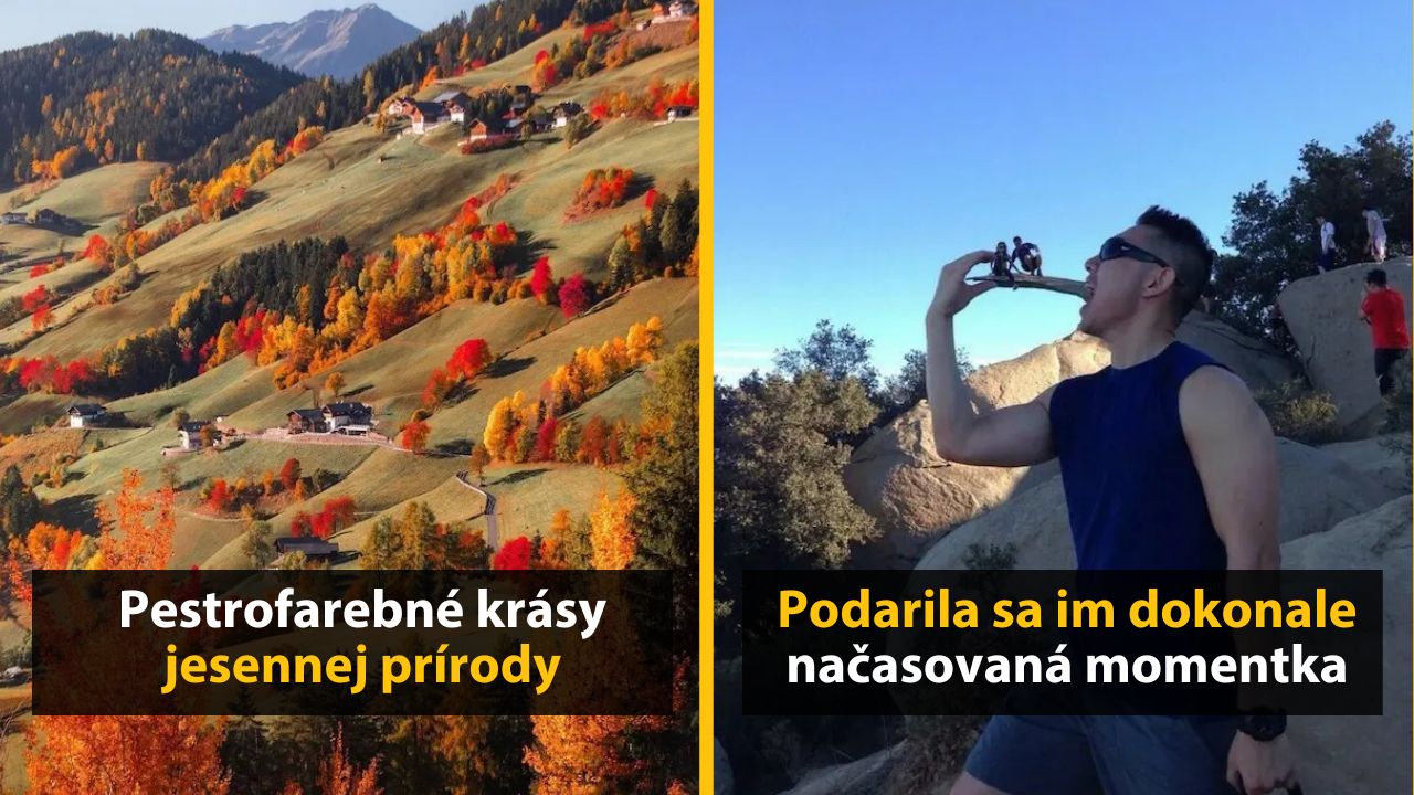 30+ Obrázkov, ktorými dokonale zabiješ čas #572 – Medveď na pive alebo policajná akcia na vidieku
