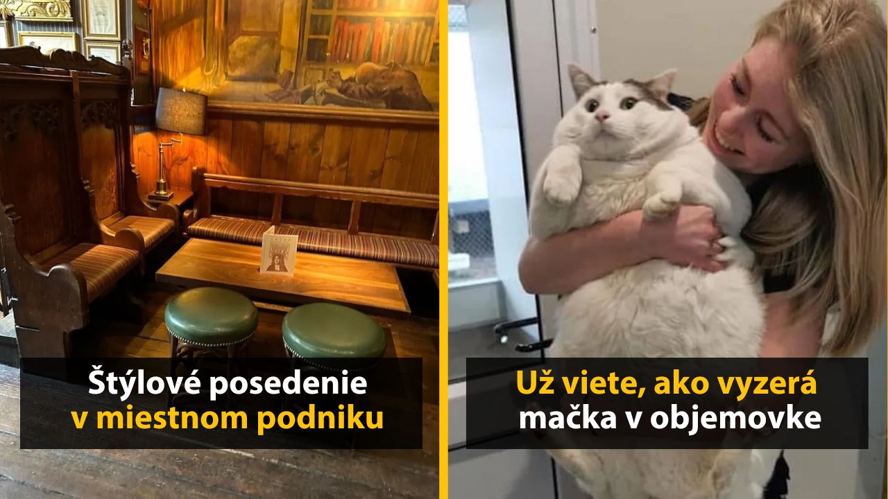 30+ Obrázkov, ktorými dokonale zabiješ čas #574 – Mníška na korčuliach alebo ryba v slnečných okuliaroch