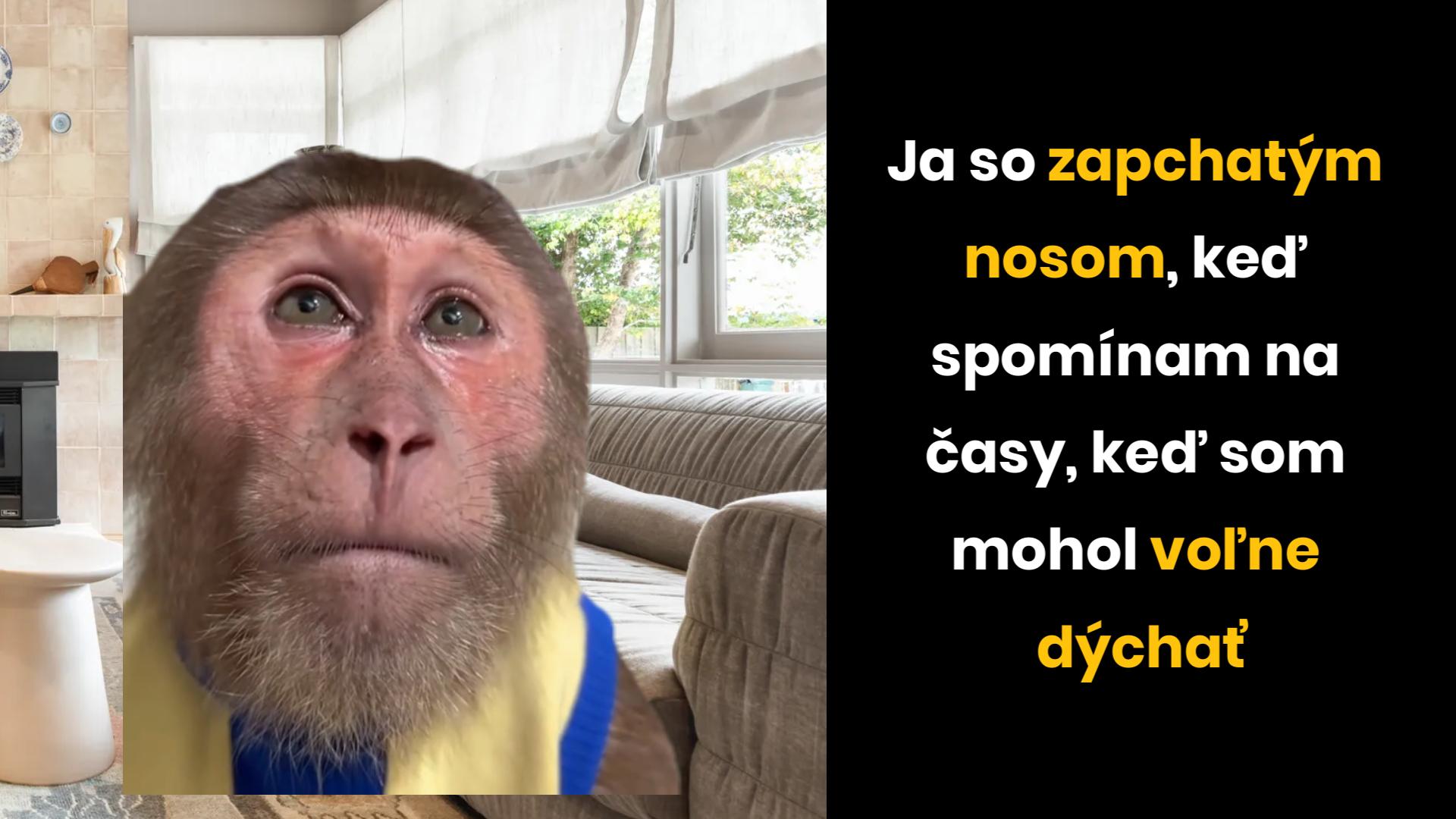 To boli časy