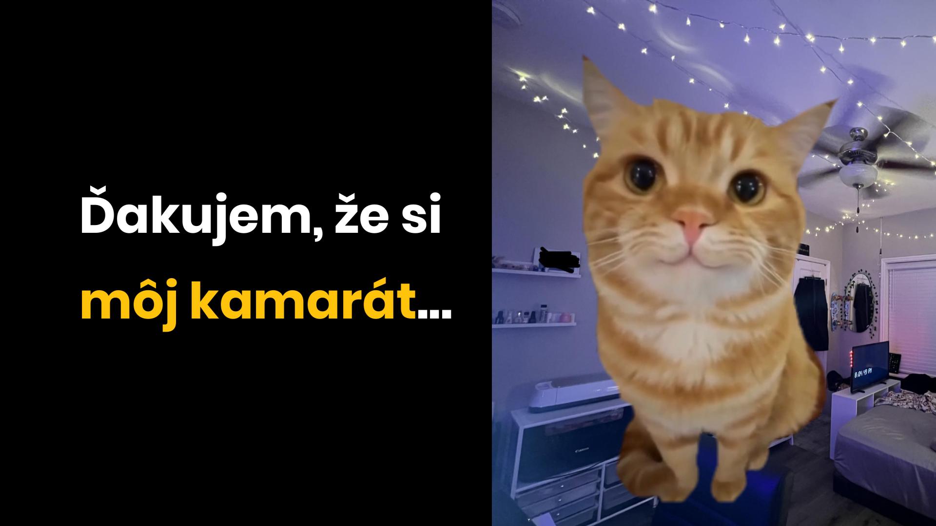 Je kamarátstvo dobrý nápad?