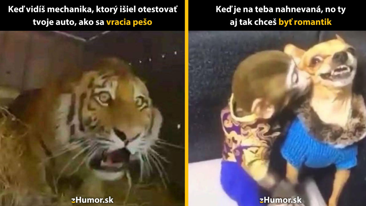 Zopár memečiek, ktoré vznikli, aby ti spríjemnili deň #1561: Dúfam, že len zle vidím.