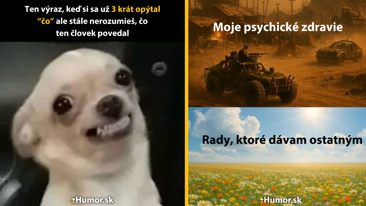 Zopár memečiek, ktoré vznikli, aby ti spríjemnili deň #1564: Dúfam, že to nebola otázka.
